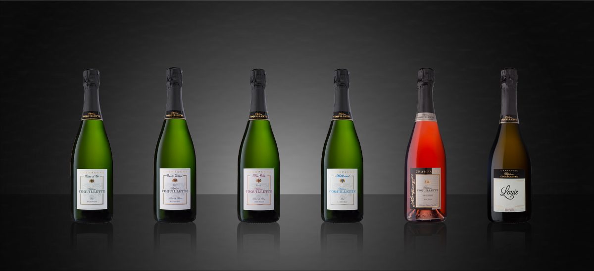 CHAMPAGNE COQUILLETTE