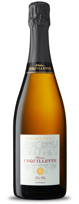 CHAMPAGNE COQUILLETTE