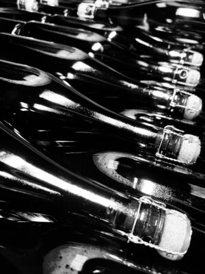 CHAMPAGNE COQUILLETTE
